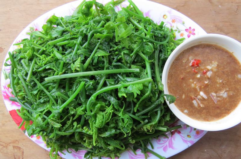 Tại Sao Mắm Lại Giúp Ăn Nhiều Rau Hơn? Các Loại Mắm Ngon