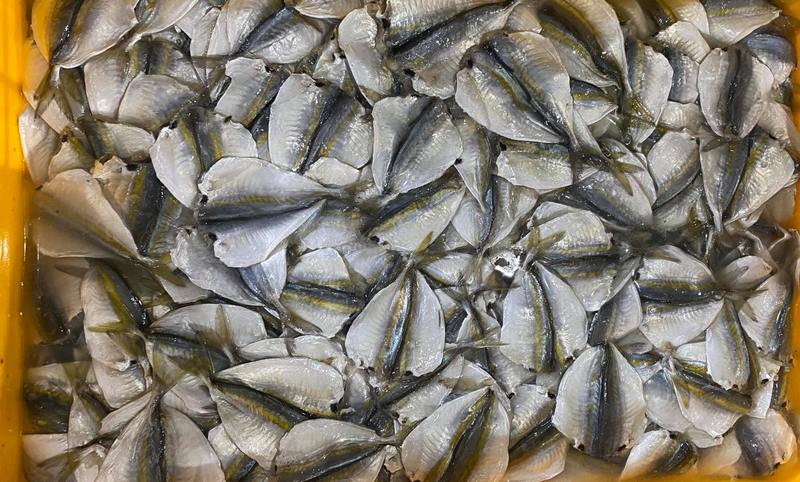 Kinh nghiệm chọn mua cá chỉ vàng tươi ngon