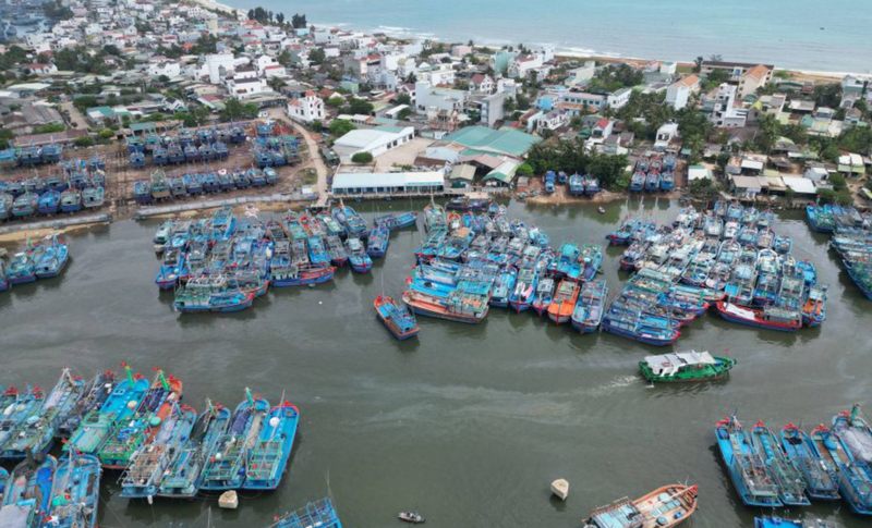 Cảng cá Tam Quan ở đâu? Định hướng phát triển trong 2026