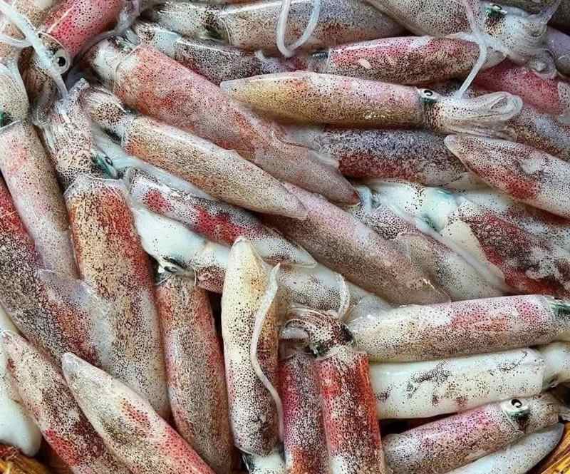 Mắm mực thường có vào mùa nào trong năm?
